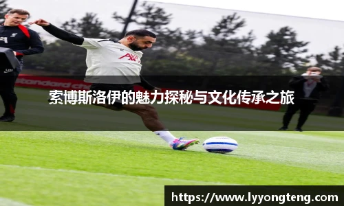 V66体育官方网址